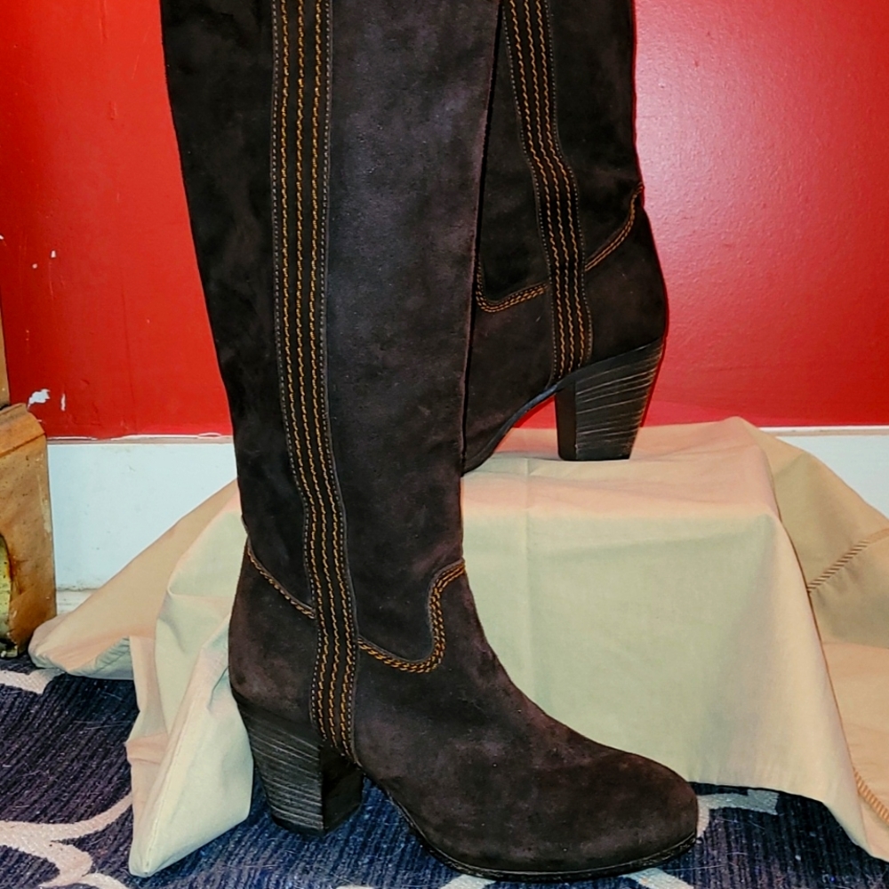 Knee high brown Alberto Fermani boots
